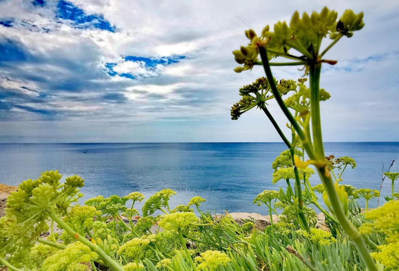 Casa Fronte Mare Villa มารีนา ดี มันกาแวร์ซา ภายนอก รูปภาพ